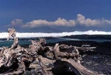 Imagen Punta Espinoza 